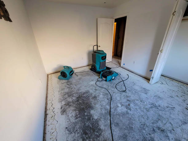 Water damage restoration experts in Sturgeon, MO