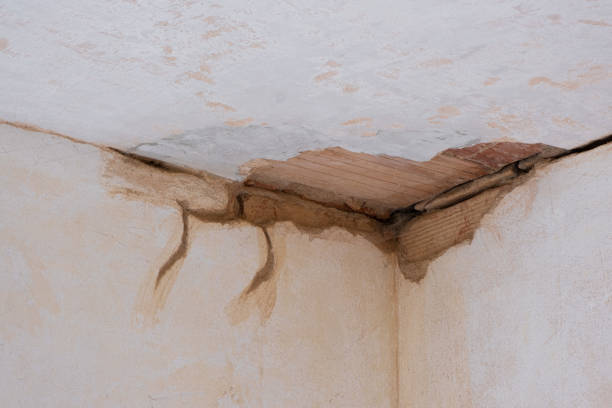 Best Water damage restoration cost  in Sturgeon, MO