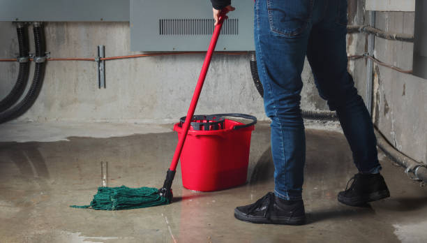 Best Carpet water damage restoration  in Sturgeon, MO