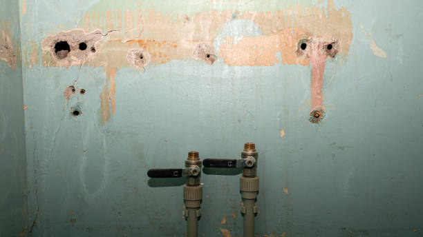 Best Fire Damage Restoration  in Sturgeon, MO